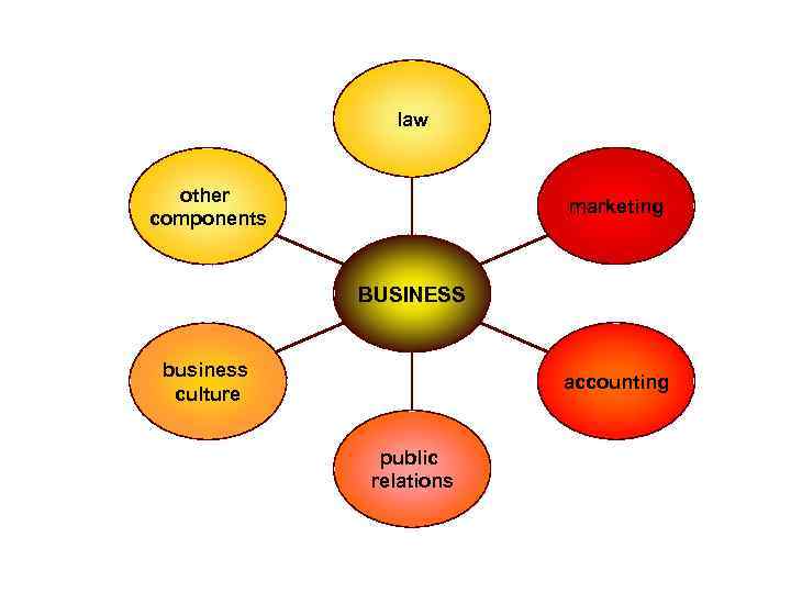 law other components marketing BUSINESS business culture accounting public relations 