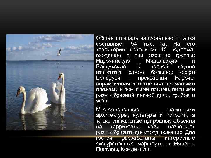 Общая площадь национального парка составляет 94 тыс. га. На его территории находится 43 водоема,