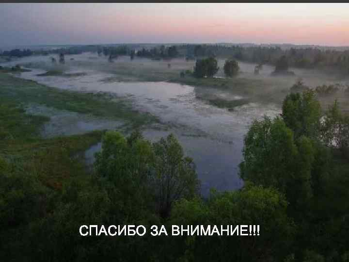 СПАСИБО ЗА ВНИМАНИЕ!!! 
