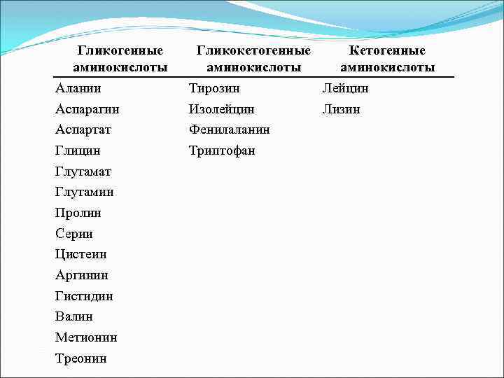 Гликогенные аминокислоты Алании Аспарагин Аспартат Глицин Глутамат Глутамин Пролин Серии Цистеин Аргинин Гистидин Валин