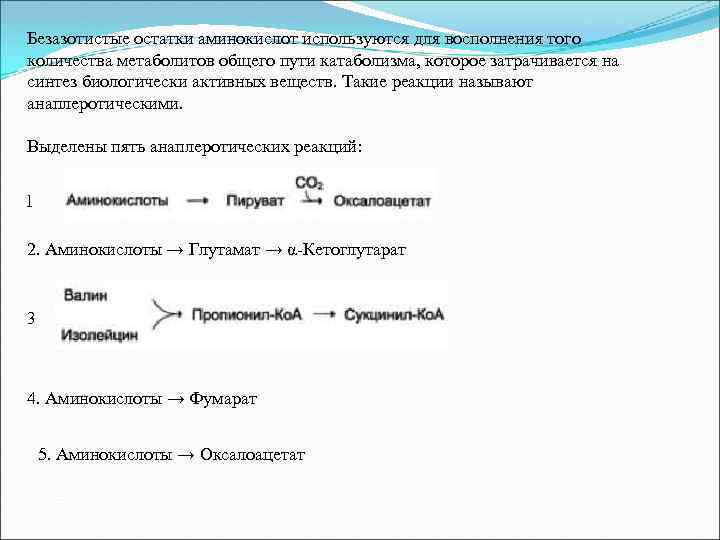 Безазотистые остатки аминокислот используются для восполнения того количества метаболитов общего пути катаболизма, которое затрачивается