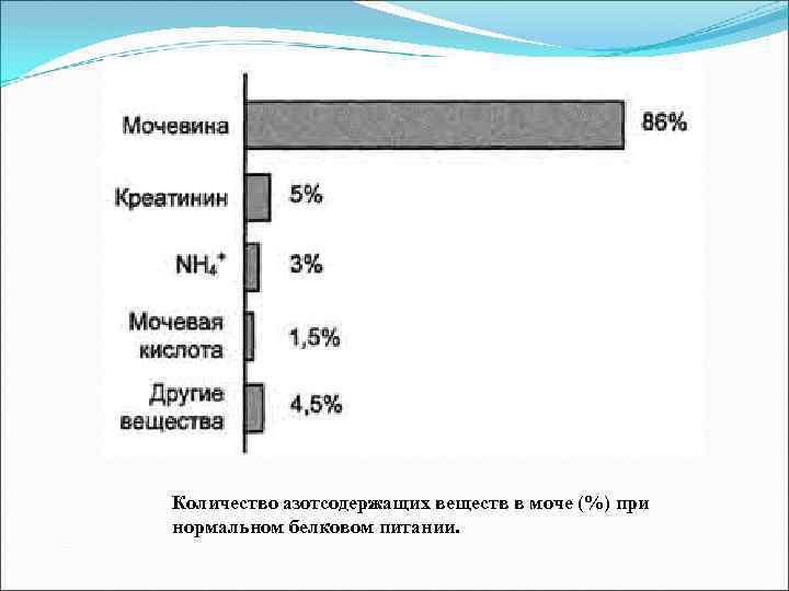 Количество азотсодержащих веществ в моче (%) при нормальном белковом питании. 