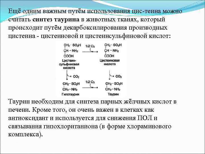 Ещё одним важным путём использования цис-теина можно считать синтез таурина в животных тканях, который