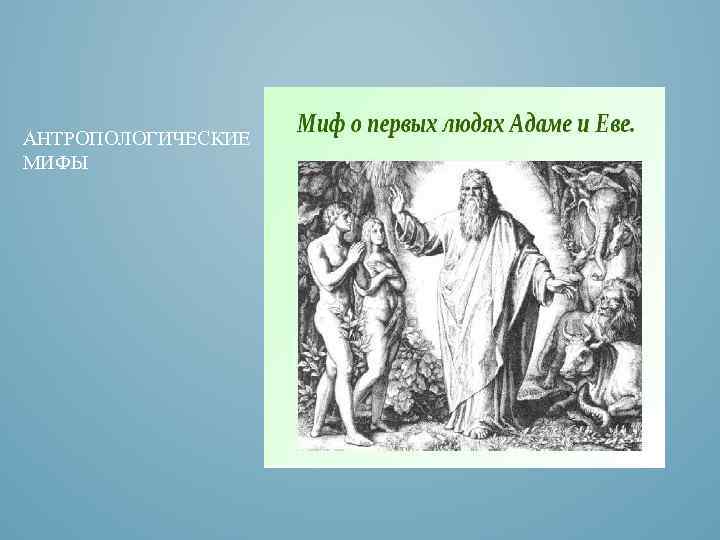 АНТРОПОЛОГИЧЕСКИЕ МИФЫ 