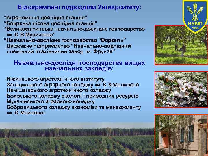 Відокремлені підрозділи Університету: “Агрономічна дослідна станція” “Боярська лісова дослідна станція” “Великоснітинське навчально-дослідне господарство ім.