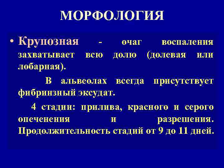 МОРФОЛОГИЯ • Крупозная - очаг воспаления захватывает всю долю (долевая или лобарная). В альвеолах
