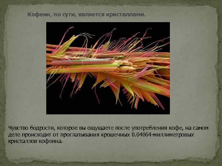Кофеин, по сути, является кристаллами. Чувство бодрости, которое вы ощущаете после употребления кофе, на