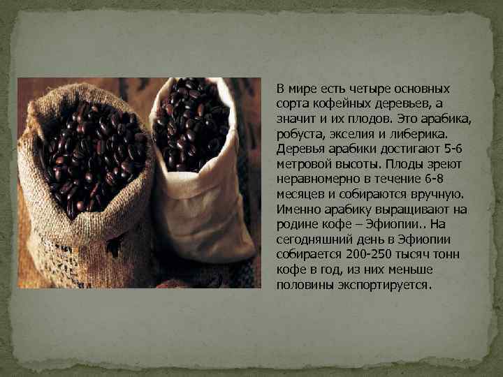 В мире есть четыре основных сорта кофейных деревьев, а значит и их плодов. Это