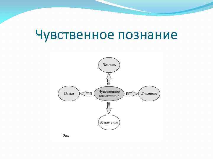 Чувственное познание 