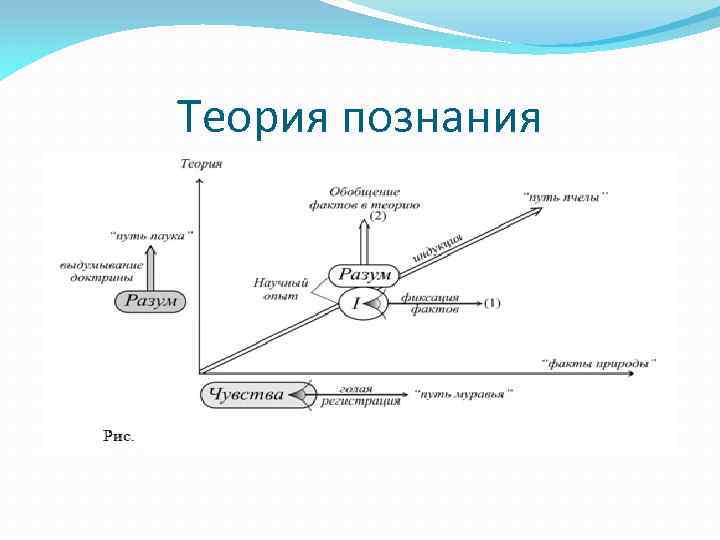 Теория познания 