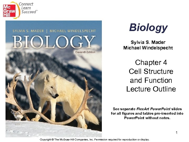 Biology Sylvia S. Mader Michael Windelspecht Chapter 4 Cell Structure and Function Lecture Outline