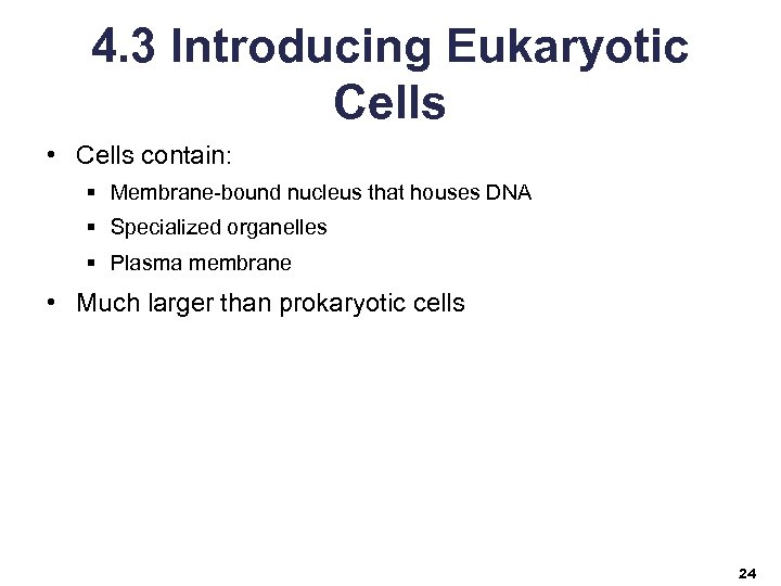 4. 3 Introducing Eukaryotic Cells • Cells contain: § Membrane-bound nucleus that houses DNA