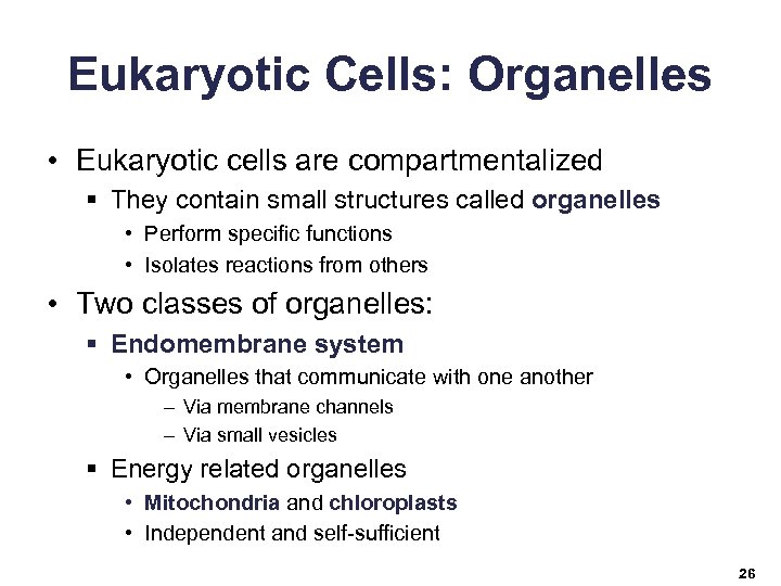 Eukaryotic Cells: Organelles • Eukaryotic cells are compartmentalized § They contain small structures called