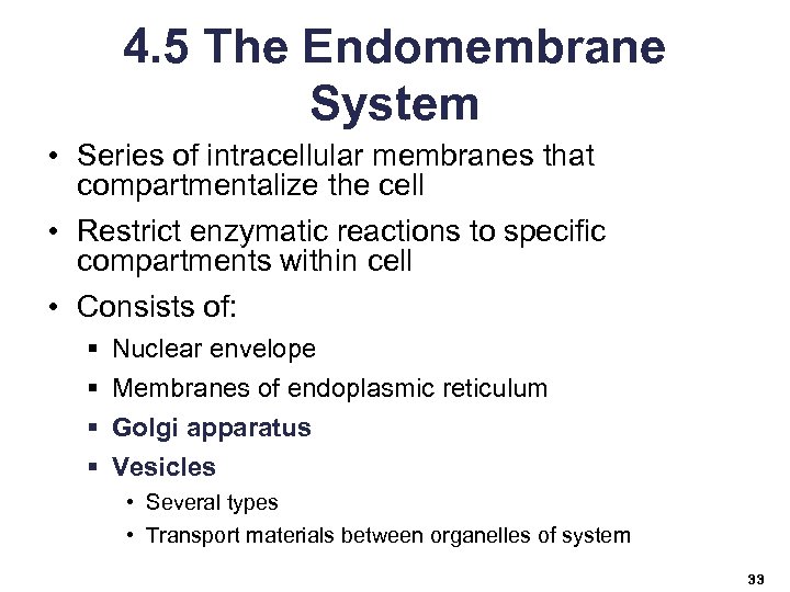 4. 5 The Endomembrane System • Series of intracellular membranes that compartmentalize the cell