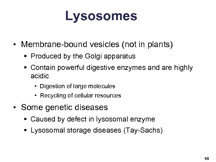 Lysosomes • Membrane-bound vesicles (not in plants) § Produced by the Golgi apparatus §
