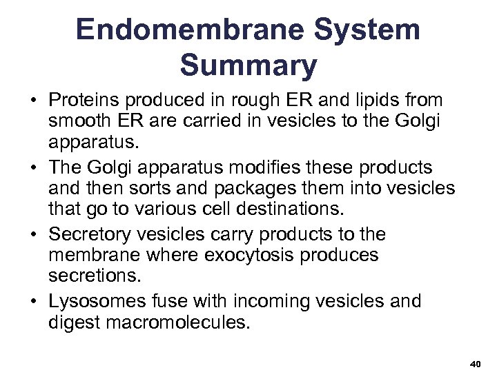 Endomembrane System Summary • Proteins produced in rough ER and lipids from smooth ER