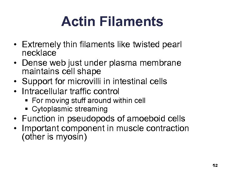 Actin Filaments • Extremely thin filaments like twisted pearl necklace • Dense web just