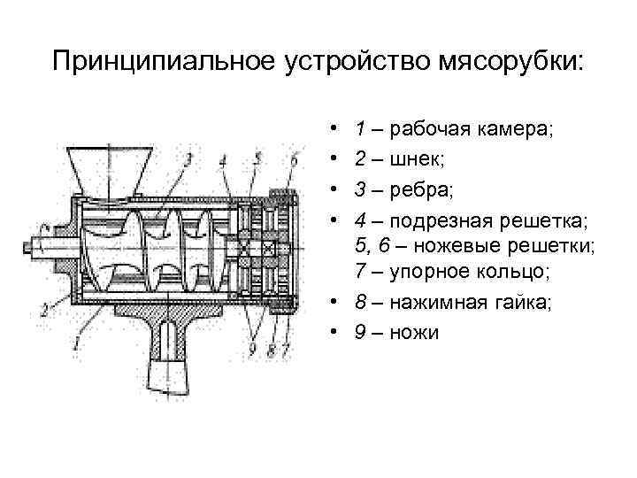 Принципиальное устройство мясорубки: • • 1 – рабочая камера; 2 – шнек; 3 –