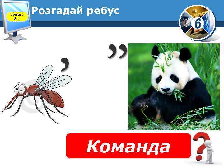 Розділ 1 § 1 Розгадай ребус Команда 6 