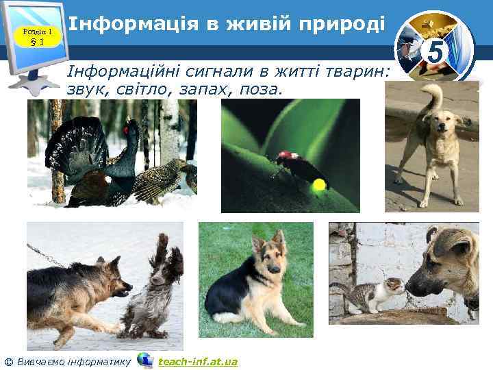 Розділ 1 § 1 Інформація в живій природі Інформаційні сигнали в житті тварин: звук,