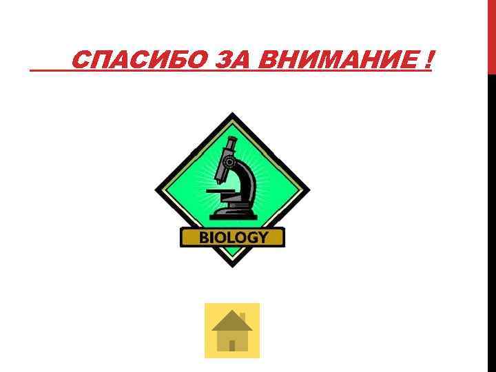 СПАСИБО ЗА ВНИМАНИЕ ! 