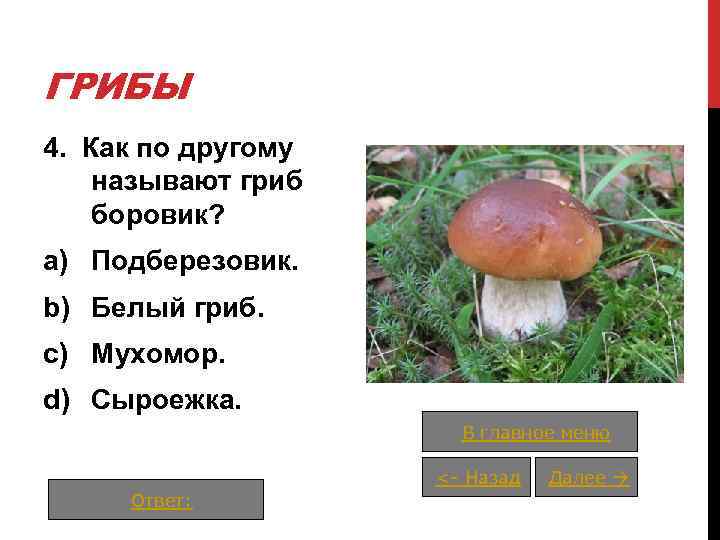 ГРИБЫ 4. Как по другому называют гриб боровик? a) Подберезовик. b) Белый гриб. c)