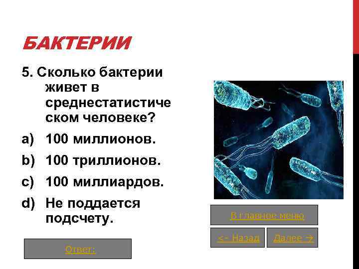 Сколько микробов. Сколько времени живут бактерии. Сколько живут микроорганизмы. Сколько живут микробы. Количество бактерий на земле.