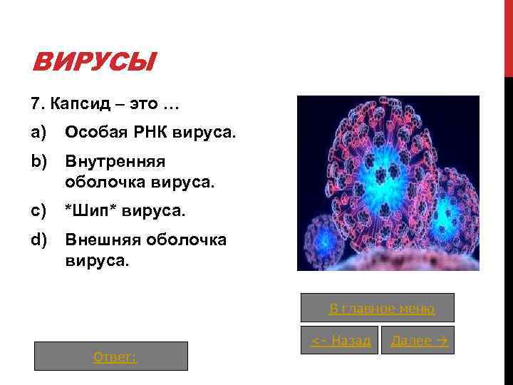 ВИРУСЫ 7. Капсид – это … a) Особая РНК вируса. b) Внутренняя оболочка вируса.