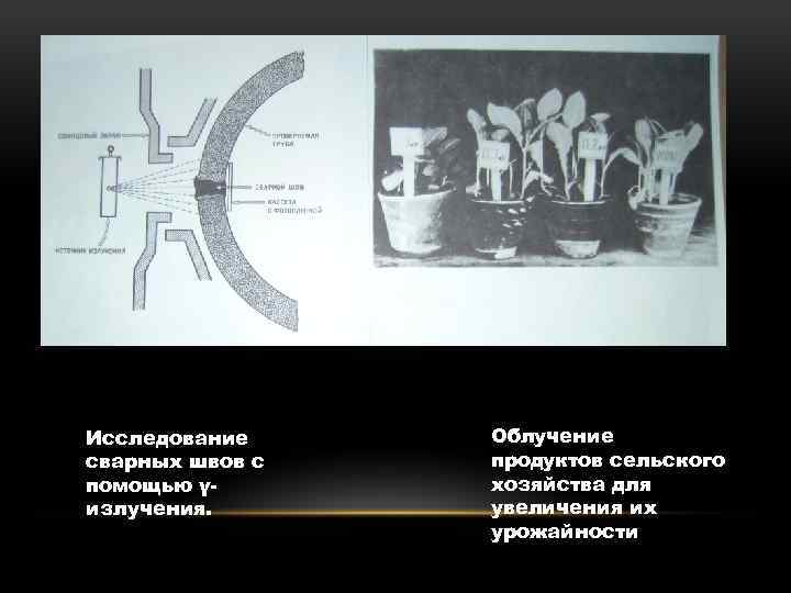 Исследование сварных швов с помощью γизлучения. Облучение продуктов сельского хозяйства для увеличения их урожайности