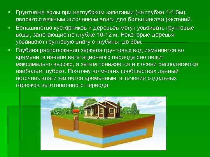 § Грунтовые воды при неглубоком залегании (не глубже 1 -1, 5 м) являются важным
