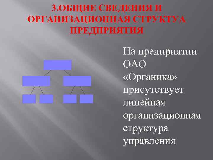 3. ОБЩИЕ СВЕДЕНИЯ И ОРГАНИЗАЦИОННАЯ СТРУКТУА ПРЕДПРИЯТИЯ На предприятии ОАО «Органика» присутствует линейная организационная