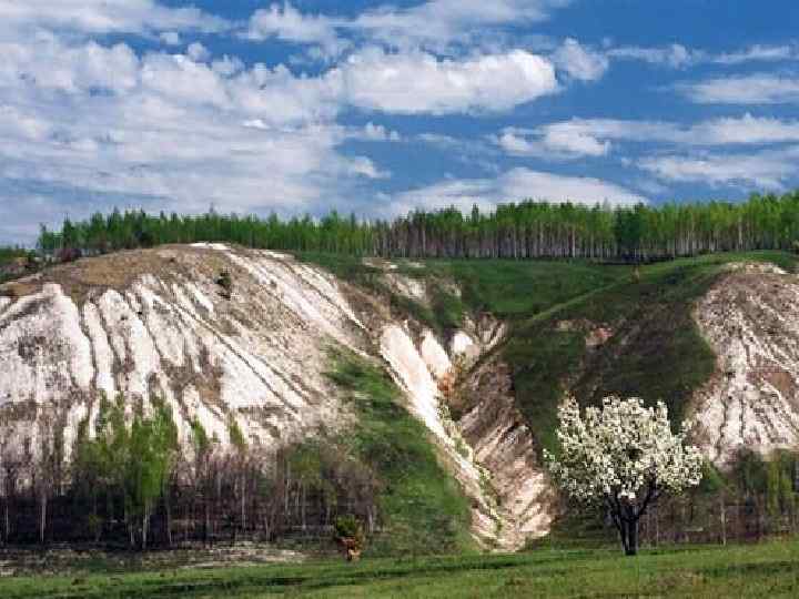 Природные ресурсы На территории области расположен государственный природный заповедник «Белогорье» , в который входят