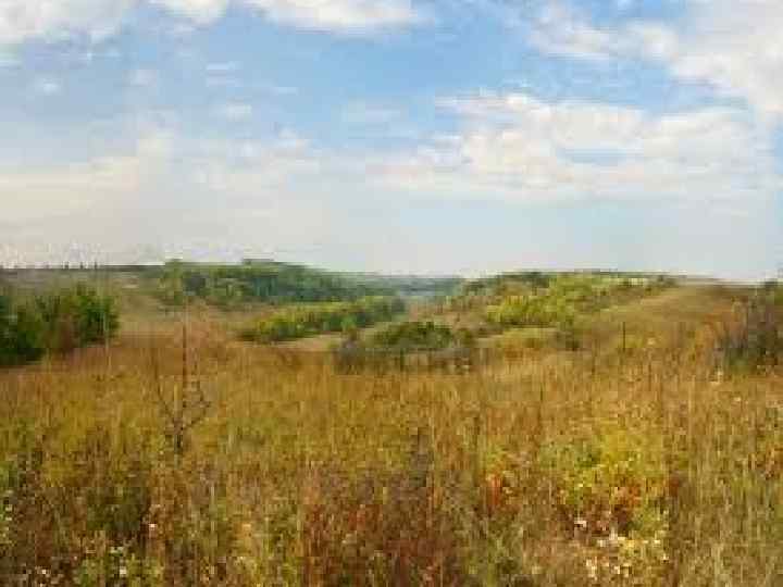  Балка Каменный Лог в Шебекинском районе — одно из самых живописных ландшафтных мест,