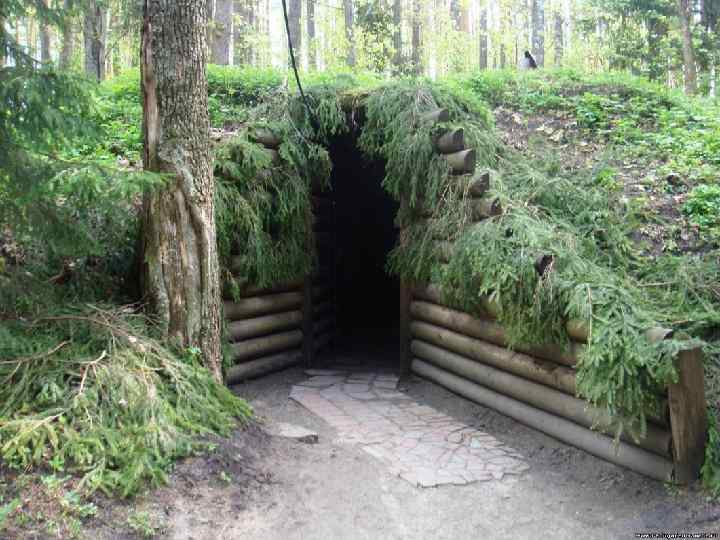 Мемориальный комплекс «Партизанская поляна» — мемориальный комплекс, расположенный в Брянских лесах под Белыми Берегами,