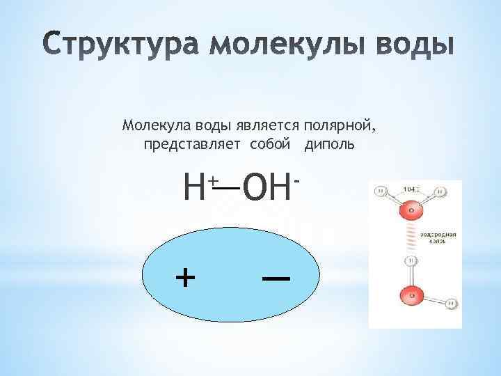 Молекула воды является полярной, представляет собой диполь + Н + ОН 