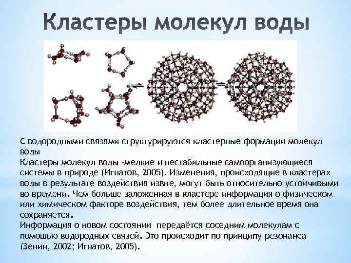 С водородными связями структурируются кластерные формации молекул воды Кластеры молекул воды –мелкие и нестабильные