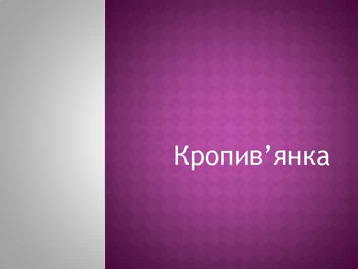 Кропив’янка 