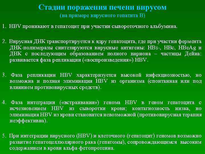 Стадии поражения печени вирусом (на примере вирусного гепатита В) 1. HBV проникают в гепатоцит