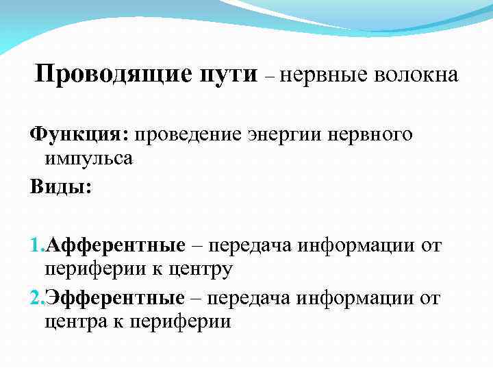 Проводящие пути – нервные волокна Функция: проведение энергии нервного импульса Виды: 1. Афферентные –