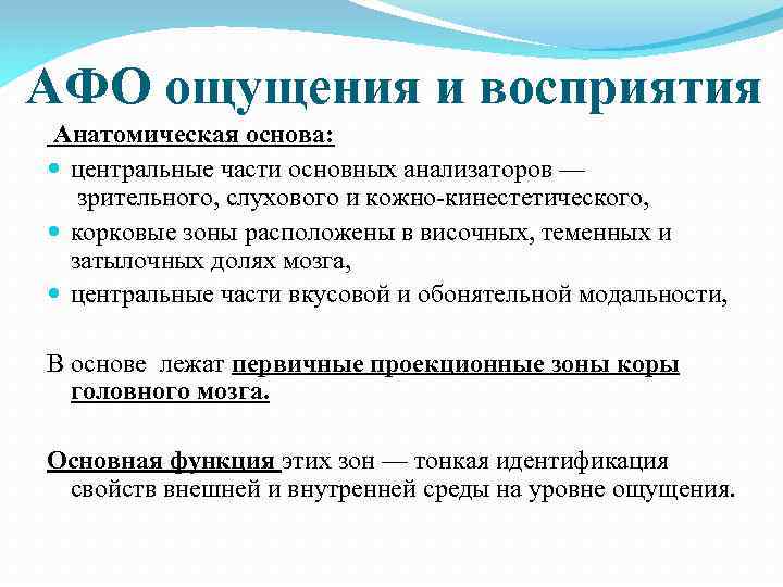 АФО ощущения и восприятия Анатомическая основа: центральные части основных анализаторов — зрительного, слухового и