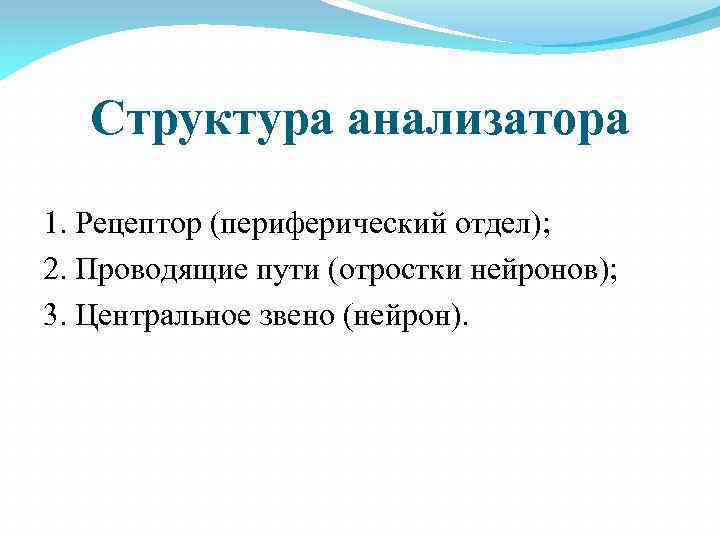 Структура анализатора 1. Рецептор (периферический отдел); 2. Проводящие пути (отростки нейронов); 3. Центральное звено