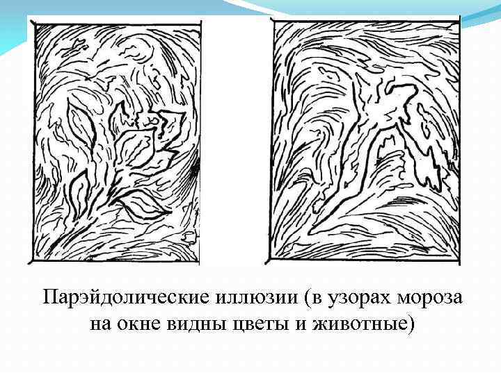 Парэйдолические иллюзии (в узорах мороза на окне видны цветы и животные) 
