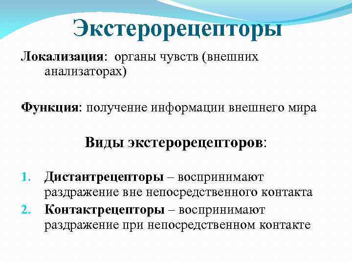 Экстерорецепторы Локализация: органы чувств (внешних анализаторах) Функция: получение информации внешнего мира Виды экстерорецепторов: Дистантрецепторы