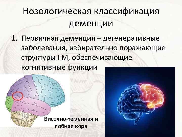 Нозологическая классификация деменции 1. Первичная деменция – дегенеративные заболевания, избирательно поражающие структуры ГМ, обеспечивающие