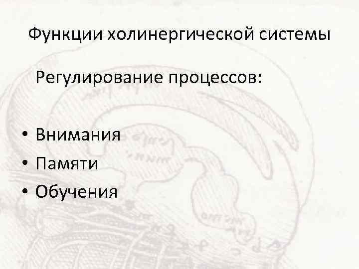 Функции холинергической системы Регулирование процессов: • Внимания • Памяти • Обучения 