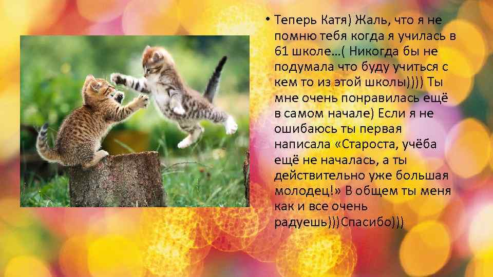  • Теперь Катя) Жаль, что я не помню тебя когда я училась в