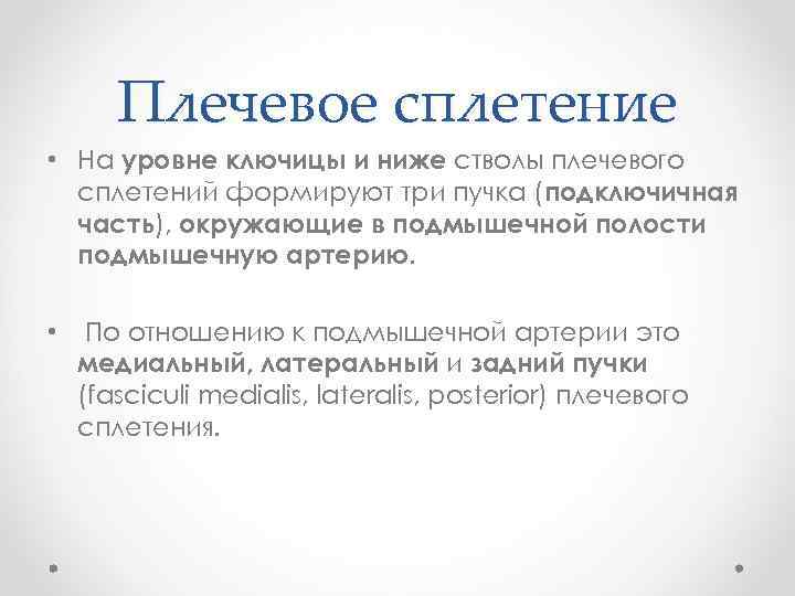 Плечевое сплетение • На уровне ключицы и ниже стволы плечевого сплетений формируют три пучка