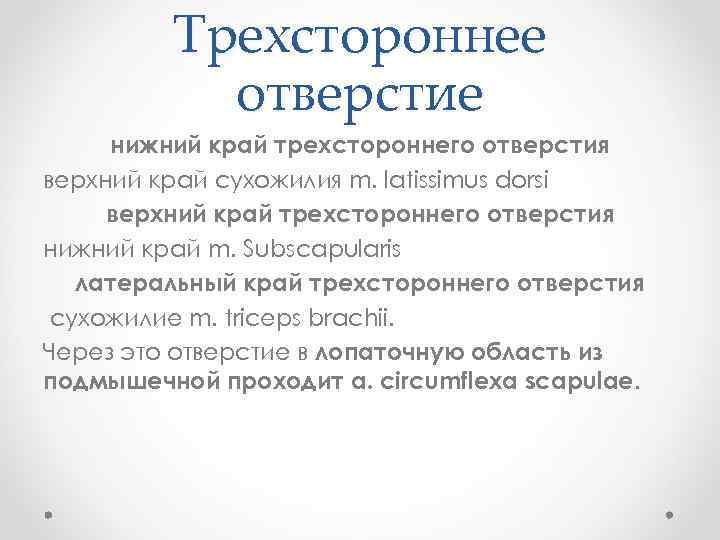 Трехстороннее отверстие нижний край трехстороннего отверстия верхний край сухожилия m. latissimus dorsi верхний край
