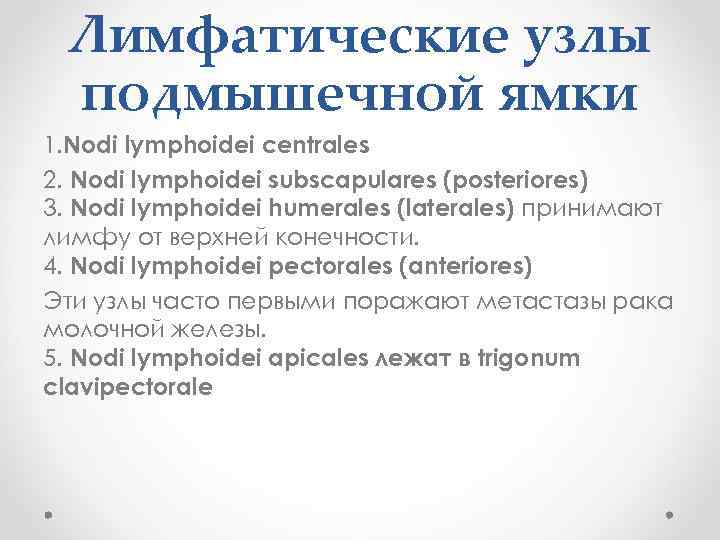 Лимфатические узлы подмышечной ямки 1. Nodi lymphoidei centrales 2. Nodi lymphoidei subscapulares (posteriores) 3.