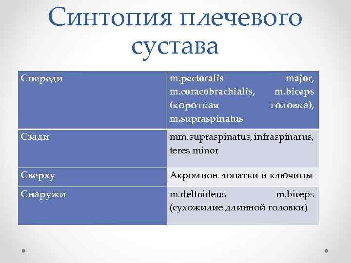 Синтопия плечевого сустава Спереди m. pectoralis m. coracobrachialis, (короткая m. supraspinatus major, m. biceps